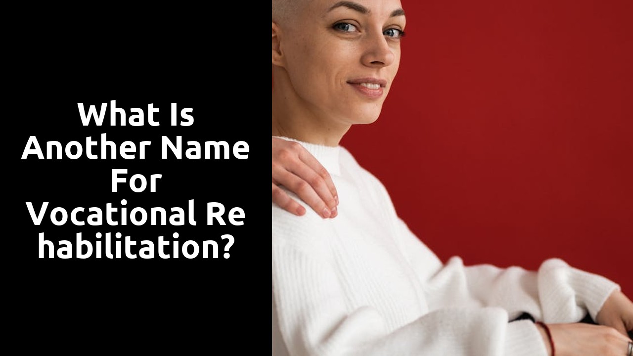 What is another name for vocational rehabilitation?